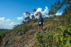 BIB: 
                            <button type="button" onclick="openModal(28097446)" class="btn btn-primary btn-sm float-right btn-popup" data-toggle="modal" data-target=".modal-high-quality">
                        <i class="fas fa-shopping-cart"></i> Add to Cart
                    </button>
                                            <button type="button" onclick="isThisMe(28097446, true)" class="btn btn-success btn-sm float-right btn-popup btn-isme hidden" data-toggle="tooltip" data-placement="bottom" title="นี่คือรูปของคุณใช่ไหม คลิกที่นี่เพื่อเอาเข้าอัลบั้ม">
                        <i class="fas fa-plus"></i> Add to album
                    </button>
                    <button type="button" onclick="isThisMe(28097446, false)" class="btn btn-warning btn-sm float-right btn-popup btn-isnotme hidden">
                        <i class="fas fa-ban"></i> Remove from album
                    </button>