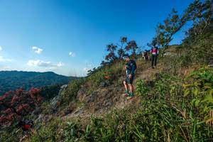 BIB: 
                            <button type="button" onclick="openModal(28098433)" class="btn btn-primary btn-sm float-right btn-popup" data-toggle="modal" data-target=".modal-high-quality">
                        <i class="fas fa-shopping-cart"></i> Add to Cart
                    </button>
                                            <button type="button" onclick="isThisMe(28098433, true)" class="btn btn-success btn-sm float-right btn-popup btn-isme hidden" data-toggle="tooltip" data-placement="bottom" title="นี่คือรูปของคุณใช่ไหม คลิกที่นี่เพื่อเอาเข้าอัลบั้ม">
                        <i class="fas fa-plus"></i> Add to album
                    </button>
                    <button type="button" onclick="isThisMe(28098433, false)" class="btn btn-warning btn-sm float-right btn-popup btn-isnotme hidden">
                        <i class="fas fa-ban"></i> Remove from album
                    </button>