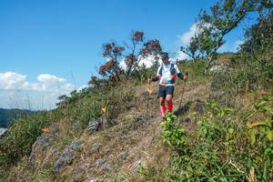 BIB: 
                            <button type="button" onclick="openModal(28096344)" class="btn btn-primary btn-sm float-right btn-popup" data-toggle="modal" data-target=".modal-high-quality">
                        <i class="fas fa-shopping-cart"></i> Add to Cart
                    </button>
                                            <button type="button" onclick="isThisMe(28096344, true)" class="btn btn-success btn-sm float-right btn-popup btn-isme hidden" data-toggle="tooltip" data-placement="bottom" title="นี่คือรูปของคุณใช่ไหม คลิกที่นี่เพื่อเอาเข้าอัลบั้ม">
                        <i class="fas fa-plus"></i> Add to album
                    </button>
                    <button type="button" onclick="isThisMe(28096344, false)" class="btn btn-warning btn-sm float-right btn-popup btn-isnotme hidden">
                        <i class="fas fa-ban"></i> Remove from album
                    </button>