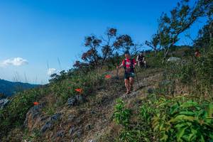 BIB: 
                            <button type="button" onclick="openModal(28098271)" class="btn btn-primary btn-sm float-right btn-popup" data-toggle="modal" data-target=".modal-high-quality">
                        <i class="fas fa-shopping-cart"></i> Add to Cart
                    </button>
                                            <button type="button" onclick="isThisMe(28098271, true)" class="btn btn-success btn-sm float-right btn-popup btn-isme hidden" data-toggle="tooltip" data-placement="bottom" title="นี่คือรูปของคุณใช่ไหม คลิกที่นี่เพื่อเอาเข้าอัลบั้ม">
                        <i class="fas fa-plus"></i> Add to album
                    </button>
                    <button type="button" onclick="isThisMe(28098271, false)" class="btn btn-warning btn-sm float-right btn-popup btn-isnotme hidden">
                        <i class="fas fa-ban"></i> Remove from album
                    </button>