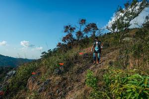 BIB: 
                            <button type="button" onclick="openModal(28099086)" class="btn btn-primary btn-sm float-right btn-popup" data-toggle="modal" data-target=".modal-high-quality">
                        <i class="fas fa-shopping-cart"></i> Add to Cart
                    </button>
                                            <button type="button" onclick="isThisMe(28099086, true)" class="btn btn-success btn-sm float-right btn-popup btn-isme hidden" data-toggle="tooltip" data-placement="bottom" title="นี่คือรูปของคุณใช่ไหม คลิกที่นี่เพื่อเอาเข้าอัลบั้ม">
                        <i class="fas fa-plus"></i> Add to album
                    </button>
                    <button type="button" onclick="isThisMe(28099086, false)" class="btn btn-warning btn-sm float-right btn-popup btn-isnotme hidden">
                        <i class="fas fa-ban"></i> Remove from album
                    </button>