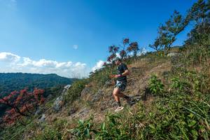 BIB: 
                            <button type="button" onclick="openModal(28097111)" class="btn btn-primary btn-sm float-right btn-popup" data-toggle="modal" data-target=".modal-high-quality">
                        <i class="fas fa-shopping-cart"></i> Add to Cart
                    </button>
                                            <button type="button" onclick="isThisMe(28097111, true)" class="btn btn-success btn-sm float-right btn-popup btn-isme hidden" data-toggle="tooltip" data-placement="bottom" title="นี่คือรูปของคุณใช่ไหม คลิกที่นี่เพื่อเอาเข้าอัลบั้ม">
                        <i class="fas fa-plus"></i> Add to album
                    </button>
                    <button type="button" onclick="isThisMe(28097111, false)" class="btn btn-warning btn-sm float-right btn-popup btn-isnotme hidden">
                        <i class="fas fa-ban"></i> Remove from album
                    </button>