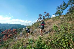 BIB: 
                            <button type="button" onclick="openModal(28096985)" class="btn btn-primary btn-sm float-right btn-popup" data-toggle="modal" data-target=".modal-high-quality">
                        <i class="fas fa-shopping-cart"></i> Add to Cart
                    </button>
                                            <button type="button" onclick="isThisMe(28096985, true)" class="btn btn-success btn-sm float-right btn-popup btn-isme hidden" data-toggle="tooltip" data-placement="bottom" title="นี่คือรูปของคุณใช่ไหม คลิกที่นี่เพื่อเอาเข้าอัลบั้ม">
                        <i class="fas fa-plus"></i> Add to album
                    </button>
                    <button type="button" onclick="isThisMe(28096985, false)" class="btn btn-warning btn-sm float-right btn-popup btn-isnotme hidden">
                        <i class="fas fa-ban"></i> Remove from album
                    </button>