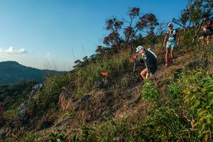 BIB: 
                            <button type="button" onclick="openModal(28099504)" class="btn btn-primary btn-sm float-right btn-popup" data-toggle="modal" data-target=".modal-high-quality">
                        <i class="fas fa-shopping-cart"></i> Add to Cart
                    </button>
                                            <button type="button" onclick="isThisMe(28099504, true)" class="btn btn-success btn-sm float-right btn-popup btn-isme hidden" data-toggle="tooltip" data-placement="bottom" title="นี่คือรูปของคุณใช่ไหม คลิกที่นี่เพื่อเอาเข้าอัลบั้ม">
                        <i class="fas fa-plus"></i> Add to album
                    </button>
                    <button type="button" onclick="isThisMe(28099504, false)" class="btn btn-warning btn-sm float-right btn-popup btn-isnotme hidden">
                        <i class="fas fa-ban"></i> Remove from album
                    </button>