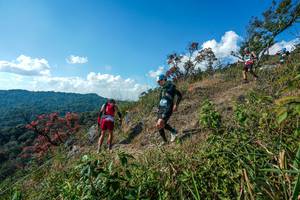 BIB: 
                            <button type="button" onclick="openModal(28097405)" class="btn btn-primary btn-sm float-right btn-popup" data-toggle="modal" data-target=".modal-high-quality">
                        <i class="fas fa-shopping-cart"></i> Add to Cart
                    </button>
                                            <button type="button" onclick="isThisMe(28097405, true)" class="btn btn-success btn-sm float-right btn-popup btn-isme hidden" data-toggle="tooltip" data-placement="bottom" title="นี่คือรูปของคุณใช่ไหม คลิกที่นี่เพื่อเอาเข้าอัลบั้ม">
                        <i class="fas fa-plus"></i> Add to album
                    </button>
                    <button type="button" onclick="isThisMe(28097405, false)" class="btn btn-warning btn-sm float-right btn-popup btn-isnotme hidden">
                        <i class="fas fa-ban"></i> Remove from album
                    </button>