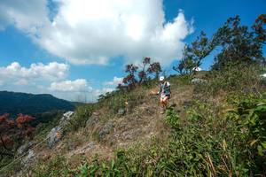 BIB: 
                            <button type="button" onclick="openModal(28096043)" class="btn btn-primary btn-sm float-right btn-popup" data-toggle="modal" data-target=".modal-high-quality">
                        <i class="fas fa-shopping-cart"></i> Add to Cart
                    </button>
                                            <button type="button" onclick="isThisMe(28096043, true)" class="btn btn-success btn-sm float-right btn-popup btn-isme hidden" data-toggle="tooltip" data-placement="bottom" title="นี่คือรูปของคุณใช่ไหม คลิกที่นี่เพื่อเอาเข้าอัลบั้ม">
                        <i class="fas fa-plus"></i> Add to album
                    </button>
                    <button type="button" onclick="isThisMe(28096043, false)" class="btn btn-warning btn-sm float-right btn-popup btn-isnotme hidden">
                        <i class="fas fa-ban"></i> Remove from album
                    </button>