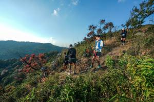 BIB: 
                            <button type="button" onclick="openModal(28099403)" class="btn btn-primary btn-sm float-right btn-popup" data-toggle="modal" data-target=".modal-high-quality">
                        <i class="fas fa-shopping-cart"></i> Add to Cart
                    </button>
                                            <button type="button" onclick="isThisMe(28099403, true)" class="btn btn-success btn-sm float-right btn-popup btn-isme hidden" data-toggle="tooltip" data-placement="bottom" title="นี่คือรูปของคุณใช่ไหม คลิกที่นี่เพื่อเอาเข้าอัลบั้ม">
                        <i class="fas fa-plus"></i> Add to album
                    </button>
                    <button type="button" onclick="isThisMe(28099403, false)" class="btn btn-warning btn-sm float-right btn-popup btn-isnotme hidden">
                        <i class="fas fa-ban"></i> Remove from album
                    </button>