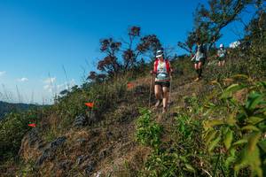 BIB: 
                            <button type="button" onclick="openModal(28098876)" class="btn btn-primary btn-sm float-right btn-popup" data-toggle="modal" data-target=".modal-high-quality">
                        <i class="fas fa-shopping-cart"></i> Add to Cart
                    </button>
                                            <button type="button" onclick="isThisMe(28098876, true)" class="btn btn-success btn-sm float-right btn-popup btn-isme hidden" data-toggle="tooltip" data-placement="bottom" title="นี่คือรูปของคุณใช่ไหม คลิกที่นี่เพื่อเอาเข้าอัลบั้ม">
                        <i class="fas fa-plus"></i> Add to album
                    </button>
                    <button type="button" onclick="isThisMe(28098876, false)" class="btn btn-warning btn-sm float-right btn-popup btn-isnotme hidden">
                        <i class="fas fa-ban"></i> Remove from album
                    </button>