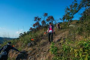 BIB: 
                            <button type="button" onclick="openModal(28098447)" class="btn btn-primary btn-sm float-right btn-popup" data-toggle="modal" data-target=".modal-high-quality">
                        <i class="fas fa-shopping-cart"></i> Add to Cart
                    </button>
                                            <button type="button" onclick="isThisMe(28098447, true)" class="btn btn-success btn-sm float-right btn-popup btn-isme hidden" data-toggle="tooltip" data-placement="bottom" title="นี่คือรูปของคุณใช่ไหม คลิกที่นี่เพื่อเอาเข้าอัลบั้ม">
                        <i class="fas fa-plus"></i> Add to album
                    </button>
                    <button type="button" onclick="isThisMe(28098447, false)" class="btn btn-warning btn-sm float-right btn-popup btn-isnotme hidden">
                        <i class="fas fa-ban"></i> Remove from album
                    </button>