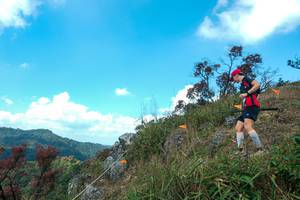 BIB: 
                            <button type="button" onclick="openModal(28095937)" class="btn btn-primary btn-sm float-right btn-popup" data-toggle="modal" data-target=".modal-high-quality">
                        <i class="fas fa-shopping-cart"></i> Add to Cart
                    </button>
                                            <button type="button" onclick="isThisMe(28095937, true)" class="btn btn-success btn-sm float-right btn-popup btn-isme hidden" data-toggle="tooltip" data-placement="bottom" title="นี่คือรูปของคุณใช่ไหม คลิกที่นี่เพื่อเอาเข้าอัลบั้ม">
                        <i class="fas fa-plus"></i> Add to album
                    </button>
                    <button type="button" onclick="isThisMe(28095937, false)" class="btn btn-warning btn-sm float-right btn-popup btn-isnotme hidden">
                        <i class="fas fa-ban"></i> Remove from album
                    </button>