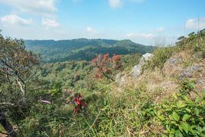 BIB: 
                            <button type="button" onclick="openModal(28095733)" class="btn btn-primary btn-sm float-right btn-popup" data-toggle="modal" data-target=".modal-high-quality">
                        <i class="fas fa-shopping-cart"></i> Add to Cart
                    </button>
                                            <button type="button" onclick="isThisMe(28095733, true)" class="btn btn-success btn-sm float-right btn-popup btn-isme hidden" data-toggle="tooltip" data-placement="bottom" title="นี่คือรูปของคุณใช่ไหม คลิกที่นี่เพื่อเอาเข้าอัลบั้ม">
                        <i class="fas fa-plus"></i> Add to album
                    </button>
                    <button type="button" onclick="isThisMe(28095733, false)" class="btn btn-warning btn-sm float-right btn-popup btn-isnotme hidden">
                        <i class="fas fa-ban"></i> Remove from album
                    </button>