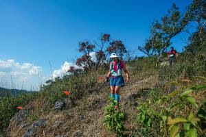 BIB: 
                            <button type="button" onclick="openModal(28097144)" class="btn btn-primary btn-sm float-right btn-popup" data-toggle="modal" data-target=".modal-high-quality">
                        <i class="fas fa-shopping-cart"></i> Add to Cart
                    </button>
                                            <button type="button" onclick="isThisMe(28097144, true)" class="btn btn-success btn-sm float-right btn-popup btn-isme hidden" data-toggle="tooltip" data-placement="bottom" title="นี่คือรูปของคุณใช่ไหม คลิกที่นี่เพื่อเอาเข้าอัลบั้ม">
                        <i class="fas fa-plus"></i> Add to album
                    </button>
                    <button type="button" onclick="isThisMe(28097144, false)" class="btn btn-warning btn-sm float-right btn-popup btn-isnotme hidden">
                        <i class="fas fa-ban"></i> Remove from album
                    </button>