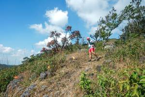 BIB: 
                            <button type="button" onclick="openModal(28096425)" class="btn btn-primary btn-sm float-right btn-popup" data-toggle="modal" data-target=".modal-high-quality">
                        <i class="fas fa-shopping-cart"></i> Add to Cart
                    </button>
                                            <button type="button" onclick="isThisMe(28096425, true)" class="btn btn-success btn-sm float-right btn-popup btn-isme hidden" data-toggle="tooltip" data-placement="bottom" title="นี่คือรูปของคุณใช่ไหม คลิกที่นี่เพื่อเอาเข้าอัลบั้ม">
                        <i class="fas fa-plus"></i> Add to album
                    </button>
                    <button type="button" onclick="isThisMe(28096425, false)" class="btn btn-warning btn-sm float-right btn-popup btn-isnotme hidden">
                        <i class="fas fa-ban"></i> Remove from album
                    </button>