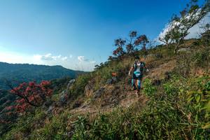 BIB: 
                            <button type="button" onclick="openModal(28099088)" class="btn btn-primary btn-sm float-right btn-popup" data-toggle="modal" data-target=".modal-high-quality">
                        <i class="fas fa-shopping-cart"></i> Add to Cart
                    </button>
                                            <button type="button" onclick="isThisMe(28099088, true)" class="btn btn-success btn-sm float-right btn-popup btn-isme hidden" data-toggle="tooltip" data-placement="bottom" title="นี่คือรูปของคุณใช่ไหม คลิกที่นี่เพื่อเอาเข้าอัลบั้ม">
                        <i class="fas fa-plus"></i> Add to album
                    </button>
                    <button type="button" onclick="isThisMe(28099088, false)" class="btn btn-warning btn-sm float-right btn-popup btn-isnotme hidden">
                        <i class="fas fa-ban"></i> Remove from album
                    </button>