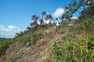 BIB: 
                            <button type="button" onclick="openModal(28096354)" class="btn btn-primary btn-sm float-right btn-popup" data-toggle="modal" data-target=".modal-high-quality">
                        <i class="fas fa-shopping-cart"></i> Add to Cart
                    </button>
                                            <button type="button" onclick="isThisMe(28096354, true)" class="btn btn-success btn-sm float-right btn-popup btn-isme hidden" data-toggle="tooltip" data-placement="bottom" title="นี่คือรูปของคุณใช่ไหม คลิกที่นี่เพื่อเอาเข้าอัลบั้ม">
                        <i class="fas fa-plus"></i> Add to album
                    </button>
                    <button type="button" onclick="isThisMe(28096354, false)" class="btn btn-warning btn-sm float-right btn-popup btn-isnotme hidden">
                        <i class="fas fa-ban"></i> Remove from album
                    </button>