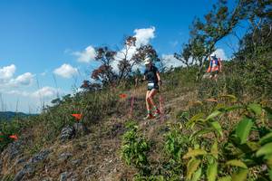 BIB: 
                            <button type="button" onclick="openModal(28097483)" class="btn btn-primary btn-sm float-right btn-popup" data-toggle="modal" data-target=".modal-high-quality">
                        <i class="fas fa-shopping-cart"></i> Add to Cart
                    </button>
                                            <button type="button" onclick="isThisMe(28097483, true)" class="btn btn-success btn-sm float-right btn-popup btn-isme hidden" data-toggle="tooltip" data-placement="bottom" title="นี่คือรูปของคุณใช่ไหม คลิกที่นี่เพื่อเอาเข้าอัลบั้ม">
                        <i class="fas fa-plus"></i> Add to album
                    </button>
                    <button type="button" onclick="isThisMe(28097483, false)" class="btn btn-warning btn-sm float-right btn-popup btn-isnotme hidden">
                        <i class="fas fa-ban"></i> Remove from album
                    </button>