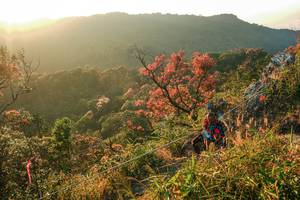 BIB: 
                            <button type="button" onclick="openModal(28099702)" class="btn btn-primary btn-sm float-right btn-popup" data-toggle="modal" data-target=".modal-high-quality">
                        <i class="fas fa-shopping-cart"></i> Add to Cart
                    </button>
                                            <button type="button" onclick="isThisMe(28099702, true)" class="btn btn-success btn-sm float-right btn-popup btn-isme hidden" data-toggle="tooltip" data-placement="bottom" title="นี่คือรูปของคุณใช่ไหม คลิกที่นี่เพื่อเอาเข้าอัลบั้ม">
                        <i class="fas fa-plus"></i> Add to album
                    </button>
                    <button type="button" onclick="isThisMe(28099702, false)" class="btn btn-warning btn-sm float-right btn-popup btn-isnotme hidden">
                        <i class="fas fa-ban"></i> Remove from album
                    </button>