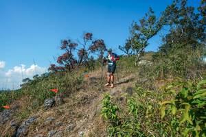 BIB: 
                            <button type="button" onclick="openModal(28096624)" class="btn btn-primary btn-sm float-right btn-popup" data-toggle="modal" data-target=".modal-high-quality">
                        <i class="fas fa-shopping-cart"></i> Add to Cart
                    </button>
                                            <button type="button" onclick="isThisMe(28096624, true)" class="btn btn-success btn-sm float-right btn-popup btn-isme hidden" data-toggle="tooltip" data-placement="bottom" title="นี่คือรูปของคุณใช่ไหม คลิกที่นี่เพื่อเอาเข้าอัลบั้ม">
                        <i class="fas fa-plus"></i> Add to album
                    </button>
                    <button type="button" onclick="isThisMe(28096624, false)" class="btn btn-warning btn-sm float-right btn-popup btn-isnotme hidden">
                        <i class="fas fa-ban"></i> Remove from album
                    </button>