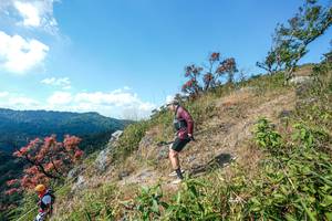 BIB: 
                            <button type="button" onclick="openModal(28096607)" class="btn btn-primary btn-sm float-right btn-popup" data-toggle="modal" data-target=".modal-high-quality">
                        <i class="fas fa-shopping-cart"></i> Add to Cart
                    </button>
                                            <button type="button" onclick="isThisMe(28096607, true)" class="btn btn-success btn-sm float-right btn-popup btn-isme hidden" data-toggle="tooltip" data-placement="bottom" title="นี่คือรูปของคุณใช่ไหม คลิกที่นี่เพื่อเอาเข้าอัลบั้ม">
                        <i class="fas fa-plus"></i> Add to album
                    </button>
                    <button type="button" onclick="isThisMe(28096607, false)" class="btn btn-warning btn-sm float-right btn-popup btn-isnotme hidden">
                        <i class="fas fa-ban"></i> Remove from album
                    </button>