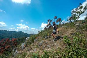 BIB: 
                            <button type="button" onclick="openModal(28096160)" class="btn btn-primary btn-sm float-right btn-popup" data-toggle="modal" data-target=".modal-high-quality">
                        <i class="fas fa-shopping-cart"></i> Add to Cart
                    </button>
                                            <button type="button" onclick="isThisMe(28096160, true)" class="btn btn-success btn-sm float-right btn-popup btn-isme hidden" data-toggle="tooltip" data-placement="bottom" title="นี่คือรูปของคุณใช่ไหม คลิกที่นี่เพื่อเอาเข้าอัลบั้ม">
                        <i class="fas fa-plus"></i> Add to album
                    </button>
                    <button type="button" onclick="isThisMe(28096160, false)" class="btn btn-warning btn-sm float-right btn-popup btn-isnotme hidden">
                        <i class="fas fa-ban"></i> Remove from album
                    </button>