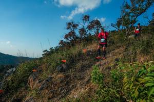 BIB: 
                            <button type="button" onclick="openModal(28099313)" class="btn btn-primary btn-sm float-right btn-popup" data-toggle="modal" data-target=".modal-high-quality">
                        <i class="fas fa-shopping-cart"></i> Add to Cart
                    </button>
                                            <button type="button" onclick="isThisMe(28099313, true)" class="btn btn-success btn-sm float-right btn-popup btn-isme hidden" data-toggle="tooltip" data-placement="bottom" title="นี่คือรูปของคุณใช่ไหม คลิกที่นี่เพื่อเอาเข้าอัลบั้ม">
                        <i class="fas fa-plus"></i> Add to album
                    </button>
                    <button type="button" onclick="isThisMe(28099313, false)" class="btn btn-warning btn-sm float-right btn-popup btn-isnotme hidden">
                        <i class="fas fa-ban"></i> Remove from album
                    </button>