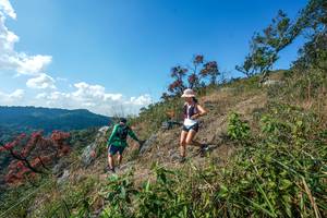 BIB: 
                            <button type="button" onclick="openModal(28096665)" class="btn btn-primary btn-sm float-right btn-popup" data-toggle="modal" data-target=".modal-high-quality">
                        <i class="fas fa-shopping-cart"></i> Add to Cart
                    </button>
                                            <button type="button" onclick="isThisMe(28096665, true)" class="btn btn-success btn-sm float-right btn-popup btn-isme hidden" data-toggle="tooltip" data-placement="bottom" title="นี่คือรูปของคุณใช่ไหม คลิกที่นี่เพื่อเอาเข้าอัลบั้ม">
                        <i class="fas fa-plus"></i> Add to album
                    </button>
                    <button type="button" onclick="isThisMe(28096665, false)" class="btn btn-warning btn-sm float-right btn-popup btn-isnotme hidden">
                        <i class="fas fa-ban"></i> Remove from album
                    </button>