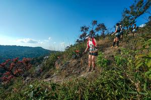 BIB: 
                            <button type="button" onclick="openModal(28098881)" class="btn btn-primary btn-sm float-right btn-popup" data-toggle="modal" data-target=".modal-high-quality">
                        <i class="fas fa-shopping-cart"></i> Add to Cart
                    </button>
                                            <button type="button" onclick="isThisMe(28098881, true)" class="btn btn-success btn-sm float-right btn-popup btn-isme hidden" data-toggle="tooltip" data-placement="bottom" title="นี่คือรูปของคุณใช่ไหม คลิกที่นี่เพื่อเอาเข้าอัลบั้ม">
                        <i class="fas fa-plus"></i> Add to album
                    </button>
                    <button type="button" onclick="isThisMe(28098881, false)" class="btn btn-warning btn-sm float-right btn-popup btn-isnotme hidden">
                        <i class="fas fa-ban"></i> Remove from album
                    </button>