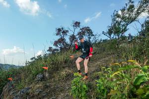 BIB: 
                            <button type="button" onclick="openModal(28097853)" class="btn btn-primary btn-sm float-right btn-popup" data-toggle="modal" data-target=".modal-high-quality">
                        <i class="fas fa-shopping-cart"></i> Add to Cart
                    </button>
                                            <button type="button" onclick="isThisMe(28097853, true)" class="btn btn-success btn-sm float-right btn-popup btn-isme hidden" data-toggle="tooltip" data-placement="bottom" title="นี่คือรูปของคุณใช่ไหม คลิกที่นี่เพื่อเอาเข้าอัลบั้ม">
                        <i class="fas fa-plus"></i> Add to album
                    </button>
                    <button type="button" onclick="isThisMe(28097853, false)" class="btn btn-warning btn-sm float-right btn-popup btn-isnotme hidden">
                        <i class="fas fa-ban"></i> Remove from album
                    </button>