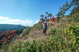 BIB: 
                            <button type="button" onclick="openModal(28097011)" class="btn btn-primary btn-sm float-right btn-popup" data-toggle="modal" data-target=".modal-high-quality">
                        <i class="fas fa-shopping-cart"></i> Add to Cart
                    </button>
                                            <button type="button" onclick="isThisMe(28097011, true)" class="btn btn-success btn-sm float-right btn-popup btn-isme hidden" data-toggle="tooltip" data-placement="bottom" title="นี่คือรูปของคุณใช่ไหม คลิกที่นี่เพื่อเอาเข้าอัลบั้ม">
                        <i class="fas fa-plus"></i> Add to album
                    </button>
                    <button type="button" onclick="isThisMe(28097011, false)" class="btn btn-warning btn-sm float-right btn-popup btn-isnotme hidden">
                        <i class="fas fa-ban"></i> Remove from album
                    </button>