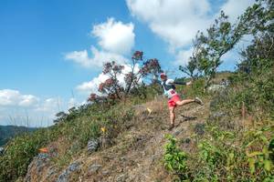 BIB: 
                            <button type="button" onclick="openModal(28096423)" class="btn btn-primary btn-sm float-right btn-popup" data-toggle="modal" data-target=".modal-high-quality">
                        <i class="fas fa-shopping-cart"></i> Add to Cart
                    </button>
                                            <button type="button" onclick="isThisMe(28096423, true)" class="btn btn-success btn-sm float-right btn-popup btn-isme hidden" data-toggle="tooltip" data-placement="bottom" title="นี่คือรูปของคุณใช่ไหม คลิกที่นี่เพื่อเอาเข้าอัลบั้ม">
                        <i class="fas fa-plus"></i> Add to album
                    </button>
                    <button type="button" onclick="isThisMe(28096423, false)" class="btn btn-warning btn-sm float-right btn-popup btn-isnotme hidden">
                        <i class="fas fa-ban"></i> Remove from album
                    </button>