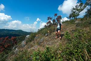 BIB: 
                            <button type="button" onclick="openModal(28096017)" class="btn btn-primary btn-sm float-right btn-popup" data-toggle="modal" data-target=".modal-high-quality">
                        <i class="fas fa-shopping-cart"></i> Add to Cart
                    </button>
                                            <button type="button" onclick="isThisMe(28096017, true)" class="btn btn-success btn-sm float-right btn-popup btn-isme hidden" data-toggle="tooltip" data-placement="bottom" title="นี่คือรูปของคุณใช่ไหม คลิกที่นี่เพื่อเอาเข้าอัลบั้ม">
                        <i class="fas fa-plus"></i> Add to album
                    </button>
                    <button type="button" onclick="isThisMe(28096017, false)" class="btn btn-warning btn-sm float-right btn-popup btn-isnotme hidden">
                        <i class="fas fa-ban"></i> Remove from album
                    </button>