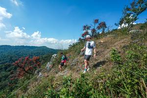 BIB: 
                            <button type="button" onclick="openModal(28096320)" class="btn btn-primary btn-sm float-right btn-popup" data-toggle="modal" data-target=".modal-high-quality">
                        <i class="fas fa-shopping-cart"></i> Add to Cart
                    </button>
                                            <button type="button" onclick="isThisMe(28096320, true)" class="btn btn-success btn-sm float-right btn-popup btn-isme hidden" data-toggle="tooltip" data-placement="bottom" title="นี่คือรูปของคุณใช่ไหม คลิกที่นี่เพื่อเอาเข้าอัลบั้ม">
                        <i class="fas fa-plus"></i> Add to album
                    </button>
                    <button type="button" onclick="isThisMe(28096320, false)" class="btn btn-warning btn-sm float-right btn-popup btn-isnotme hidden">
                        <i class="fas fa-ban"></i> Remove from album
                    </button>