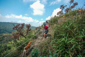 BIB: 
                            <button type="button" onclick="openModal(28095913)" class="btn btn-primary btn-sm float-right btn-popup" data-toggle="modal" data-target=".modal-high-quality">
                        <i class="fas fa-shopping-cart"></i> Add to Cart
                    </button>
                                            <button type="button" onclick="isThisMe(28095913, true)" class="btn btn-success btn-sm float-right btn-popup btn-isme hidden" data-toggle="tooltip" data-placement="bottom" title="นี่คือรูปของคุณใช่ไหม คลิกที่นี่เพื่อเอาเข้าอัลบั้ม">
                        <i class="fas fa-plus"></i> Add to album
                    </button>
                    <button type="button" onclick="isThisMe(28095913, false)" class="btn btn-warning btn-sm float-right btn-popup btn-isnotme hidden">
                        <i class="fas fa-ban"></i> Remove from album
                    </button>