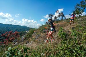 BIB: 
                            <button type="button" onclick="openModal(28097493)" class="btn btn-primary btn-sm float-right btn-popup" data-toggle="modal" data-target=".modal-high-quality">
                        <i class="fas fa-shopping-cart"></i> Add to Cart
                    </button>
                                            <button type="button" onclick="isThisMe(28097493, true)" class="btn btn-success btn-sm float-right btn-popup btn-isme hidden" data-toggle="tooltip" data-placement="bottom" title="นี่คือรูปของคุณใช่ไหม คลิกที่นี่เพื่อเอาเข้าอัลบั้ม">
                        <i class="fas fa-plus"></i> Add to album
                    </button>
                    <button type="button" onclick="isThisMe(28097493, false)" class="btn btn-warning btn-sm float-right btn-popup btn-isnotme hidden">
                        <i class="fas fa-ban"></i> Remove from album
                    </button>