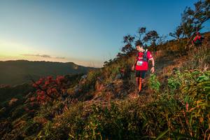 BIB: 
                            <button type="button" onclick="openModal(28099721)" class="btn btn-primary btn-sm float-right btn-popup" data-toggle="modal" data-target=".modal-high-quality">
                        <i class="fas fa-shopping-cart"></i> Add to Cart
                    </button>
                                            <button type="button" onclick="isThisMe(28099721, true)" class="btn btn-success btn-sm float-right btn-popup btn-isme hidden" data-toggle="tooltip" data-placement="bottom" title="นี่คือรูปของคุณใช่ไหม คลิกที่นี่เพื่อเอาเข้าอัลบั้ม">
                        <i class="fas fa-plus"></i> Add to album
                    </button>
                    <button type="button" onclick="isThisMe(28099721, false)" class="btn btn-warning btn-sm float-right btn-popup btn-isnotme hidden">
                        <i class="fas fa-ban"></i> Remove from album
                    </button>