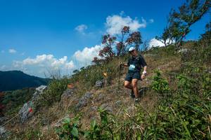 BIB: 
                            <button type="button" onclick="openModal(28096119)" class="btn btn-primary btn-sm float-right btn-popup" data-toggle="modal" data-target=".modal-high-quality">
                        <i class="fas fa-shopping-cart"></i> Add to Cart
                    </button>
                                            <button type="button" onclick="isThisMe(28096119, true)" class="btn btn-success btn-sm float-right btn-popup btn-isme hidden" data-toggle="tooltip" data-placement="bottom" title="นี่คือรูปของคุณใช่ไหม คลิกที่นี่เพื่อเอาเข้าอัลบั้ม">
                        <i class="fas fa-plus"></i> Add to album
                    </button>
                    <button type="button" onclick="isThisMe(28096119, false)" class="btn btn-warning btn-sm float-right btn-popup btn-isnotme hidden">
                        <i class="fas fa-ban"></i> Remove from album
                    </button>