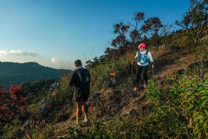 BIB: 
                            <button type="button" onclick="openModal(28099655)" class="btn btn-primary btn-sm float-right btn-popup" data-toggle="modal" data-target=".modal-high-quality">
                        <i class="fas fa-shopping-cart"></i> Add to Cart
                    </button>
                                            <button type="button" onclick="isThisMe(28099655, true)" class="btn btn-success btn-sm float-right btn-popup btn-isme hidden" data-toggle="tooltip" data-placement="bottom" title="นี่คือรูปของคุณใช่ไหม คลิกที่นี่เพื่อเอาเข้าอัลบั้ม">
                        <i class="fas fa-plus"></i> Add to album
                    </button>
                    <button type="button" onclick="isThisMe(28099655, false)" class="btn btn-warning btn-sm float-right btn-popup btn-isnotme hidden">
                        <i class="fas fa-ban"></i> Remove from album
                    </button>