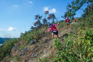 BIB: 
                            <button type="button" onclick="openModal(28098049)" class="btn btn-primary btn-sm float-right btn-popup" data-toggle="modal" data-target=".modal-high-quality">
                        <i class="fas fa-shopping-cart"></i> Add to Cart
                    </button>
                                            <button type="button" onclick="isThisMe(28098049, true)" class="btn btn-success btn-sm float-right btn-popup btn-isme hidden" data-toggle="tooltip" data-placement="bottom" title="นี่คือรูปของคุณใช่ไหม คลิกที่นี่เพื่อเอาเข้าอัลบั้ม">
                        <i class="fas fa-plus"></i> Add to album
                    </button>
                    <button type="button" onclick="isThisMe(28098049, false)" class="btn btn-warning btn-sm float-right btn-popup btn-isnotme hidden">
                        <i class="fas fa-ban"></i> Remove from album
                    </button>