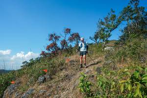 BIB: 
                            <button type="button" onclick="openModal(28096618)" class="btn btn-primary btn-sm float-right btn-popup" data-toggle="modal" data-target=".modal-high-quality">
                        <i class="fas fa-shopping-cart"></i> Add to Cart
                    </button>
                                            <button type="button" onclick="isThisMe(28096618, true)" class="btn btn-success btn-sm float-right btn-popup btn-isme hidden" data-toggle="tooltip" data-placement="bottom" title="นี่คือรูปของคุณใช่ไหม คลิกที่นี่เพื่อเอาเข้าอัลบั้ม">
                        <i class="fas fa-plus"></i> Add to album
                    </button>
                    <button type="button" onclick="isThisMe(28096618, false)" class="btn btn-warning btn-sm float-right btn-popup btn-isnotme hidden">
                        <i class="fas fa-ban"></i> Remove from album
                    </button>