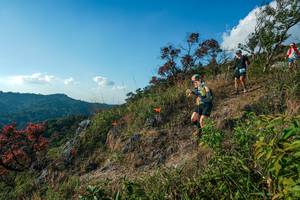 BIB: 
                            <button type="button" onclick="openModal(28099114)" class="btn btn-primary btn-sm float-right btn-popup" data-toggle="modal" data-target=".modal-high-quality">
                        <i class="fas fa-shopping-cart"></i> Add to Cart
                    </button>
                                            <button type="button" onclick="isThisMe(28099114, true)" class="btn btn-success btn-sm float-right btn-popup btn-isme hidden" data-toggle="tooltip" data-placement="bottom" title="นี่คือรูปของคุณใช่ไหม คลิกที่นี่เพื่อเอาเข้าอัลบั้ม">
                        <i class="fas fa-plus"></i> Add to album
                    </button>
                    <button type="button" onclick="isThisMe(28099114, false)" class="btn btn-warning btn-sm float-right btn-popup btn-isnotme hidden">
                        <i class="fas fa-ban"></i> Remove from album
                    </button>