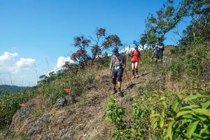 BIB: 
                            <button type="button" onclick="openModal(28097014)" class="btn btn-primary btn-sm float-right btn-popup" data-toggle="modal" data-target=".modal-high-quality">
                        <i class="fas fa-shopping-cart"></i> Add to Cart
                    </button>
                                            <button type="button" onclick="isThisMe(28097014, true)" class="btn btn-success btn-sm float-right btn-popup btn-isme hidden" data-toggle="tooltip" data-placement="bottom" title="นี่คือรูปของคุณใช่ไหม คลิกที่นี่เพื่อเอาเข้าอัลบั้ม">
                        <i class="fas fa-plus"></i> Add to album
                    </button>
                    <button type="button" onclick="isThisMe(28097014, false)" class="btn btn-warning btn-sm float-right btn-popup btn-isnotme hidden">
                        <i class="fas fa-ban"></i> Remove from album
                    </button>