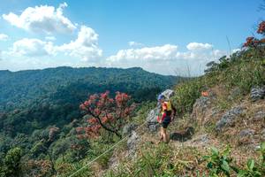 BIB: 
                            <button type="button" onclick="openModal(28096340)" class="btn btn-primary btn-sm float-right btn-popup" data-toggle="modal" data-target=".modal-high-quality">
                        <i class="fas fa-shopping-cart"></i> Add to Cart
                    </button>
                                            <button type="button" onclick="isThisMe(28096340, true)" class="btn btn-success btn-sm float-right btn-popup btn-isme hidden" data-toggle="tooltip" data-placement="bottom" title="นี่คือรูปของคุณใช่ไหม คลิกที่นี่เพื่อเอาเข้าอัลบั้ม">
                        <i class="fas fa-plus"></i> Add to album
                    </button>
                    <button type="button" onclick="isThisMe(28096340, false)" class="btn btn-warning btn-sm float-right btn-popup btn-isnotme hidden">
                        <i class="fas fa-ban"></i> Remove from album
                    </button>