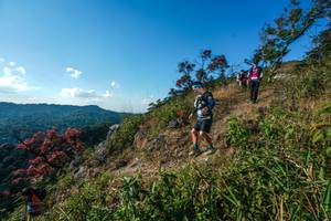 BIB: 
                            <button type="button" onclick="openModal(28098436)" class="btn btn-primary btn-sm float-right btn-popup" data-toggle="modal" data-target=".modal-high-quality">
                        <i class="fas fa-shopping-cart"></i> Add to Cart
                    </button>
                                            <button type="button" onclick="isThisMe(28098436, true)" class="btn btn-success btn-sm float-right btn-popup btn-isme hidden" data-toggle="tooltip" data-placement="bottom" title="นี่คือรูปของคุณใช่ไหม คลิกที่นี่เพื่อเอาเข้าอัลบั้ม">
                        <i class="fas fa-plus"></i> Add to album
                    </button>
                    <button type="button" onclick="isThisMe(28098436, false)" class="btn btn-warning btn-sm float-right btn-popup btn-isnotme hidden">
                        <i class="fas fa-ban"></i> Remove from album
                    </button>