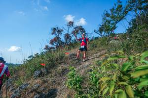 BIB: 
                            <button type="button" onclick="openModal(28098075)" class="btn btn-primary btn-sm float-right btn-popup" data-toggle="modal" data-target=".modal-high-quality">
                        <i class="fas fa-shopping-cart"></i> Add to Cart
                    </button>
                                            <button type="button" onclick="isThisMe(28098075, true)" class="btn btn-success btn-sm float-right btn-popup btn-isme hidden" data-toggle="tooltip" data-placement="bottom" title="นี่คือรูปของคุณใช่ไหม คลิกที่นี่เพื่อเอาเข้าอัลบั้ม">
                        <i class="fas fa-plus"></i> Add to album
                    </button>
                    <button type="button" onclick="isThisMe(28098075, false)" class="btn btn-warning btn-sm float-right btn-popup btn-isnotme hidden">
                        <i class="fas fa-ban"></i> Remove from album
                    </button>