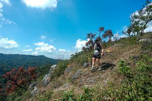 BIB: 
                            <button type="button" onclick="openModal(28096164)" class="btn btn-primary btn-sm float-right btn-popup" data-toggle="modal" data-target=".modal-high-quality">
                        <i class="fas fa-shopping-cart"></i> Add to Cart
                    </button>
                                            <button type="button" onclick="isThisMe(28096164, true)" class="btn btn-success btn-sm float-right btn-popup btn-isme hidden" data-toggle="tooltip" data-placement="bottom" title="นี่คือรูปของคุณใช่ไหม คลิกที่นี่เพื่อเอาเข้าอัลบั้ม">
                        <i class="fas fa-plus"></i> Add to album
                    </button>
                    <button type="button" onclick="isThisMe(28096164, false)" class="btn btn-warning btn-sm float-right btn-popup btn-isnotme hidden">
                        <i class="fas fa-ban"></i> Remove from album
                    </button>