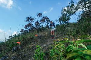 BIB: 
                            <button type="button" onclick="openModal(28097877)" class="btn btn-primary btn-sm float-right btn-popup" data-toggle="modal" data-target=".modal-high-quality">
                        <i class="fas fa-shopping-cart"></i> Add to Cart
                    </button>
                                            <button type="button" onclick="isThisMe(28097877, true)" class="btn btn-success btn-sm float-right btn-popup btn-isme hidden" data-toggle="tooltip" data-placement="bottom" title="นี่คือรูปของคุณใช่ไหม คลิกที่นี่เพื่อเอาเข้าอัลบั้ม">
                        <i class="fas fa-plus"></i> Add to album
                    </button>
                    <button type="button" onclick="isThisMe(28097877, false)" class="btn btn-warning btn-sm float-right btn-popup btn-isnotme hidden">
                        <i class="fas fa-ban"></i> Remove from album
                    </button>