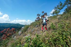 BIB: 
                            <button type="button" onclick="openModal(28096350)" class="btn btn-primary btn-sm float-right btn-popup" data-toggle="modal" data-target=".modal-high-quality">
                        <i class="fas fa-shopping-cart"></i> Add to Cart
                    </button>
                                            <button type="button" onclick="isThisMe(28096350, true)" class="btn btn-success btn-sm float-right btn-popup btn-isme hidden" data-toggle="tooltip" data-placement="bottom" title="นี่คือรูปของคุณใช่ไหม คลิกที่นี่เพื่อเอาเข้าอัลบั้ม">
                        <i class="fas fa-plus"></i> Add to album
                    </button>
                    <button type="button" onclick="isThisMe(28096350, false)" class="btn btn-warning btn-sm float-right btn-popup btn-isnotme hidden">
                        <i class="fas fa-ban"></i> Remove from album
                    </button>