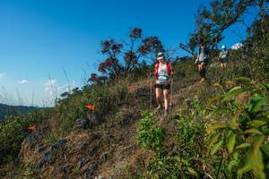 BIB: 
                            <button type="button" onclick="openModal(28098873)" class="btn btn-primary btn-sm float-right btn-popup" data-toggle="modal" data-target=".modal-high-quality">
                        <i class="fas fa-shopping-cart"></i> Add to Cart
                    </button>
                                            <button type="button" onclick="isThisMe(28098873, true)" class="btn btn-success btn-sm float-right btn-popup btn-isme hidden" data-toggle="tooltip" data-placement="bottom" title="นี่คือรูปของคุณใช่ไหม คลิกที่นี่เพื่อเอาเข้าอัลบั้ม">
                        <i class="fas fa-plus"></i> Add to album
                    </button>
                    <button type="button" onclick="isThisMe(28098873, false)" class="btn btn-warning btn-sm float-right btn-popup btn-isnotme hidden">
                        <i class="fas fa-ban"></i> Remove from album
                    </button>