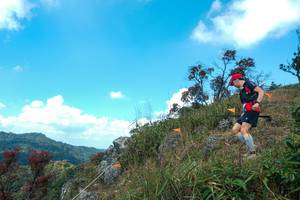 BIB: 
                            <button type="button" onclick="openModal(28095930)" class="btn btn-primary btn-sm float-right btn-popup" data-toggle="modal" data-target=".modal-high-quality">
                        <i class="fas fa-shopping-cart"></i> Add to Cart
                    </button>
                                            <button type="button" onclick="isThisMe(28095930, true)" class="btn btn-success btn-sm float-right btn-popup btn-isme hidden" data-toggle="tooltip" data-placement="bottom" title="นี่คือรูปของคุณใช่ไหม คลิกที่นี่เพื่อเอาเข้าอัลบั้ม">
                        <i class="fas fa-plus"></i> Add to album
                    </button>
                    <button type="button" onclick="isThisMe(28095930, false)" class="btn btn-warning btn-sm float-right btn-popup btn-isnotme hidden">
                        <i class="fas fa-ban"></i> Remove from album
                    </button>