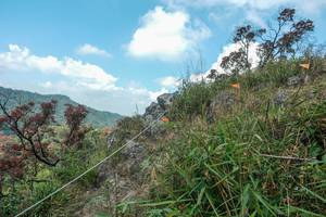 BIB: 
                            <button type="button" onclick="openModal(28095916)" class="btn btn-primary btn-sm float-right btn-popup" data-toggle="modal" data-target=".modal-high-quality">
                        <i class="fas fa-shopping-cart"></i> Add to Cart
                    </button>
                                            <button type="button" onclick="isThisMe(28095916, true)" class="btn btn-success btn-sm float-right btn-popup btn-isme hidden" data-toggle="tooltip" data-placement="bottom" title="นี่คือรูปของคุณใช่ไหม คลิกที่นี่เพื่อเอาเข้าอัลบั้ม">
                        <i class="fas fa-plus"></i> Add to album
                    </button>
                    <button type="button" onclick="isThisMe(28095916, false)" class="btn btn-warning btn-sm float-right btn-popup btn-isnotme hidden">
                        <i class="fas fa-ban"></i> Remove from album
                    </button>